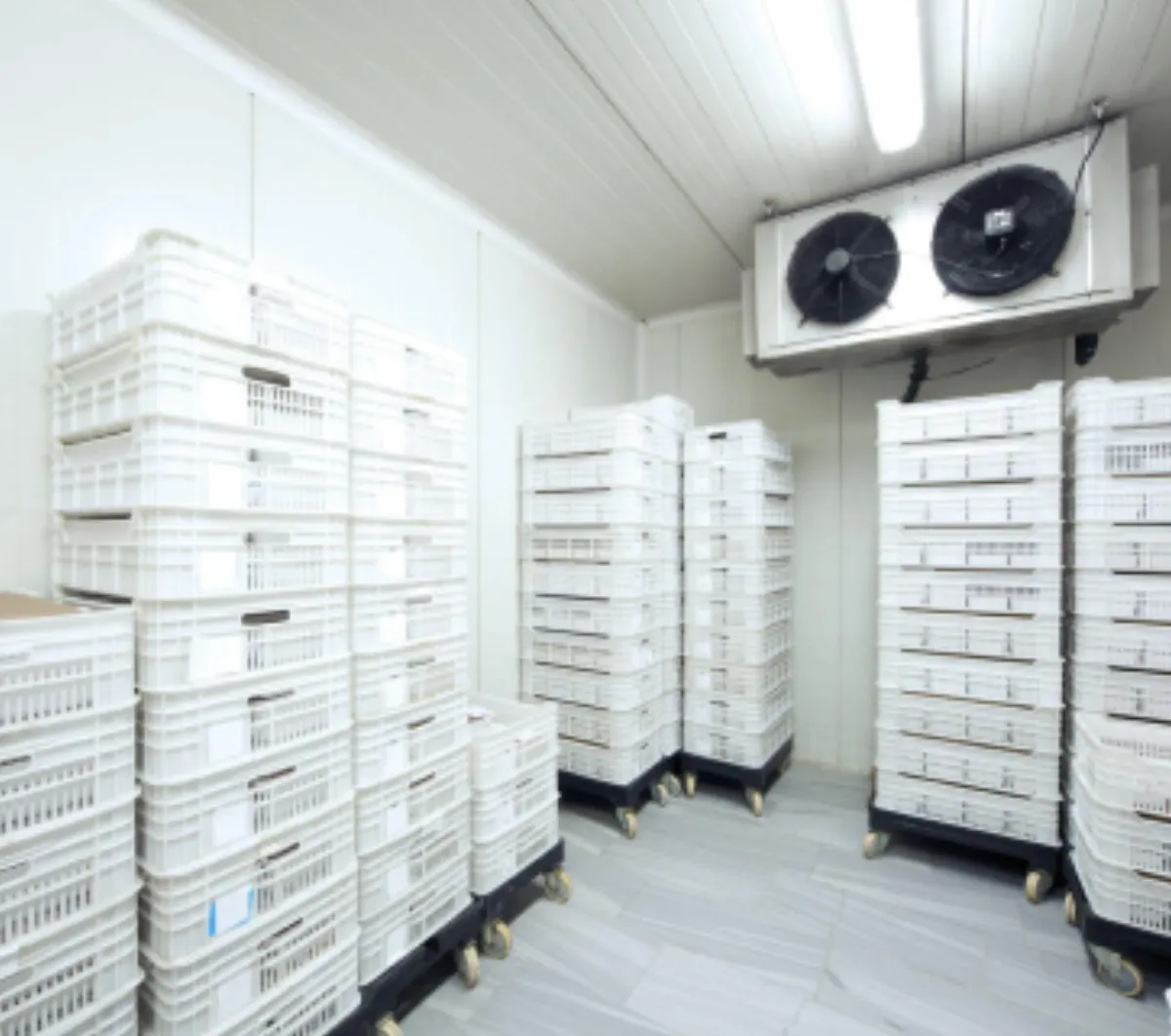 Custom Cool Room Installation